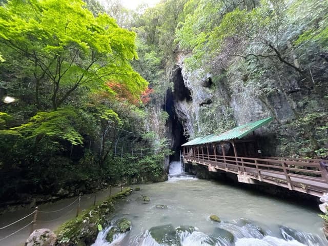 秋芳洞入口前売店 - サブ画像1