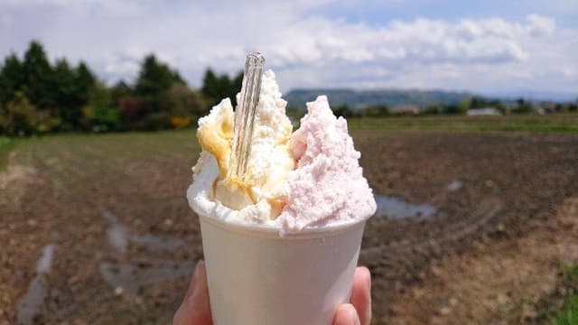 ジェラートショップ花彩 - サブ画像1