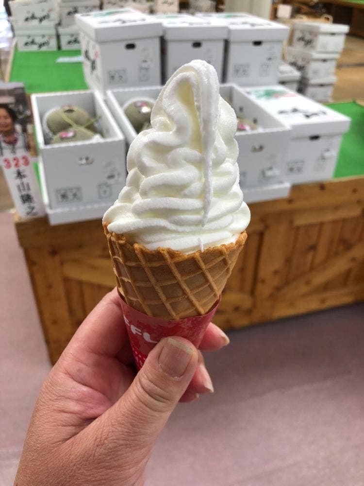 砦農園 メロンドーム店