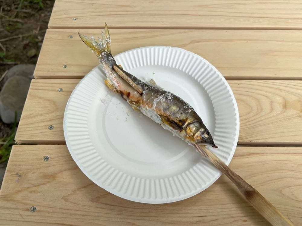 四万十川 屋形舟 さこや