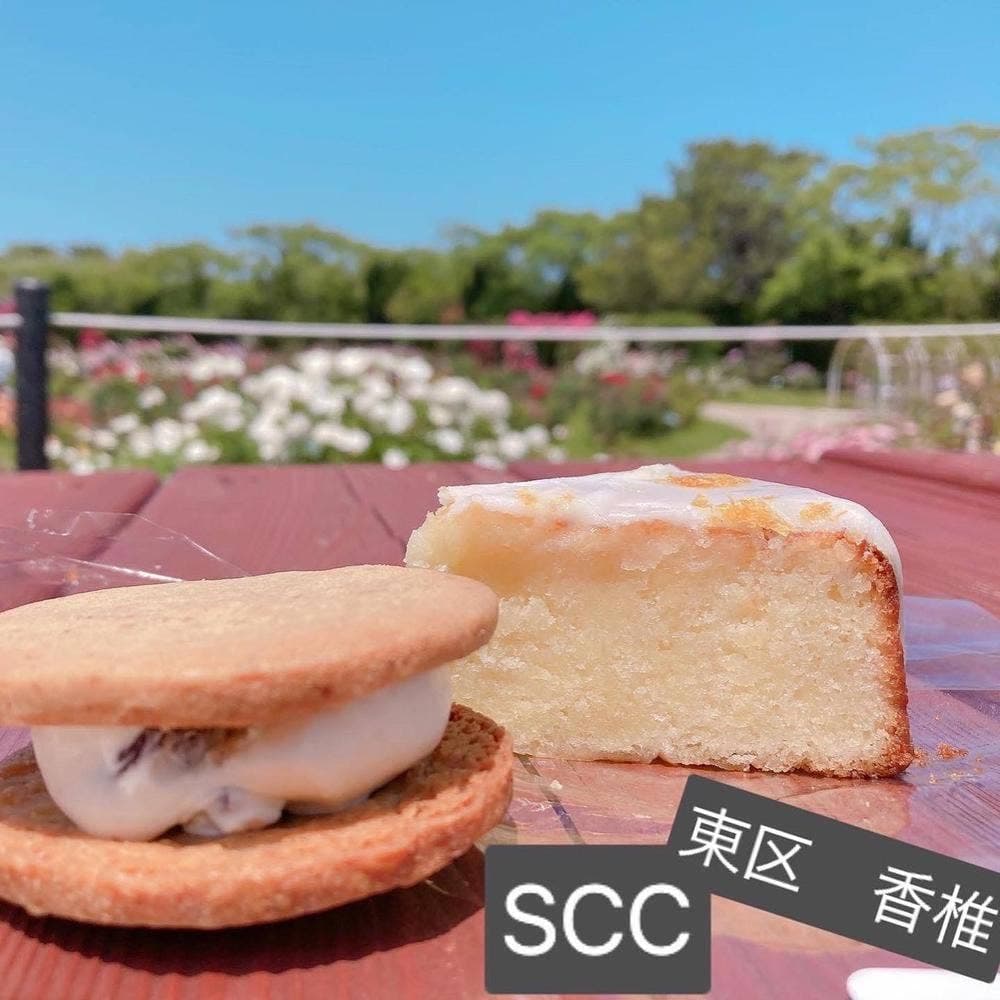 SPICA CLASSIC CAKE