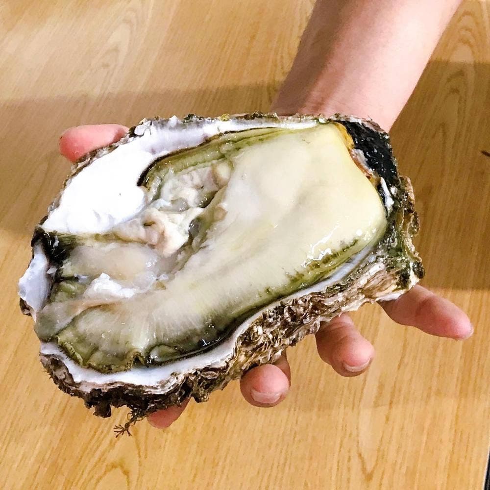 魚彩