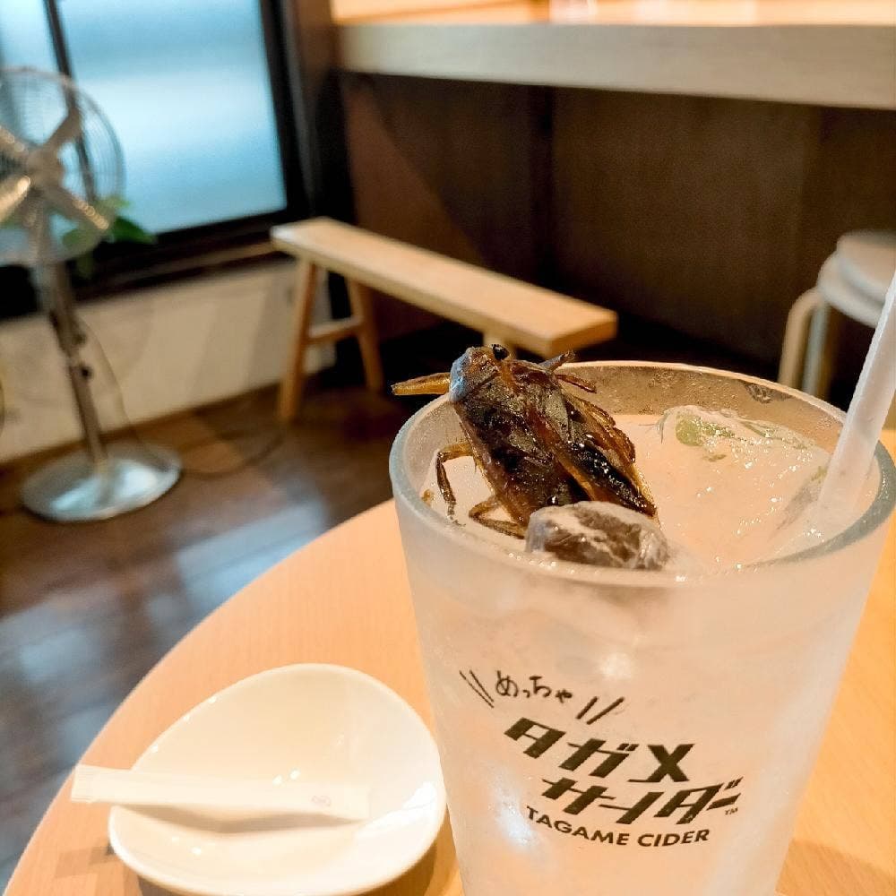 昆虫食TAKEO 浅草本店