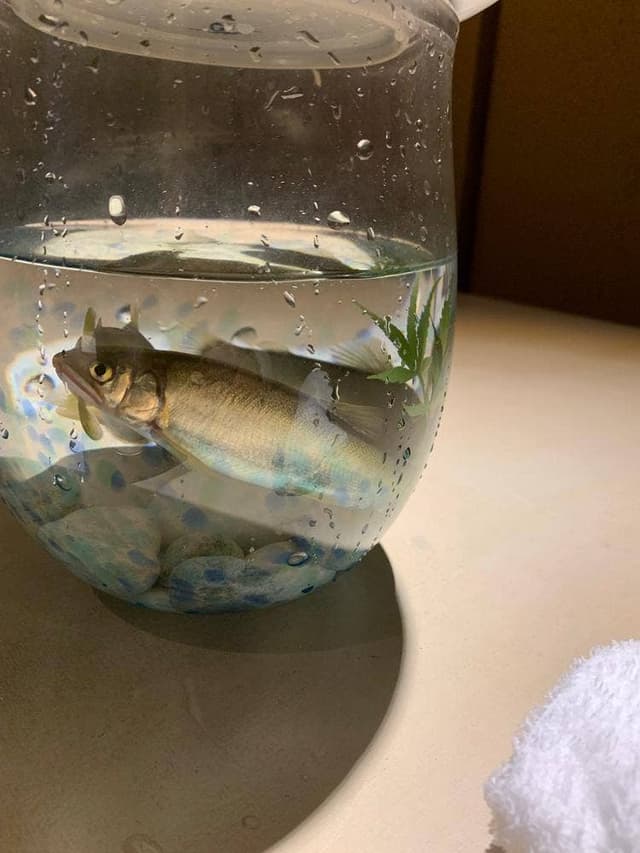 割鮮 たけ花 - サブ画像1