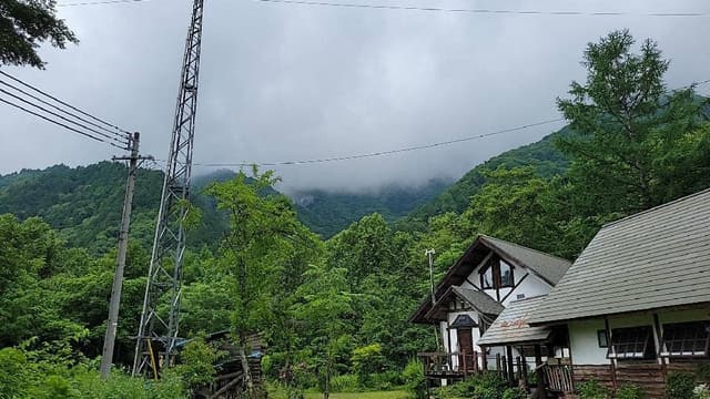 焼きたてスコーンのお店 Forest - サブ画像2