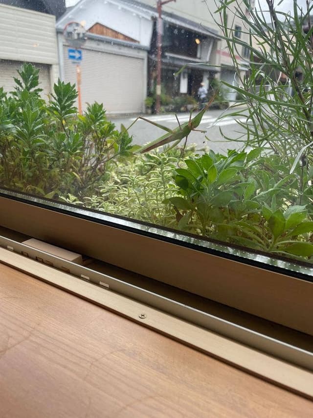 みのカフェmakana - サブ画像2