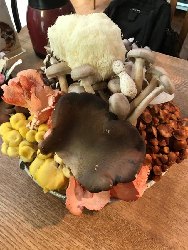 きのこ料理 創士庵 - サブ画像1