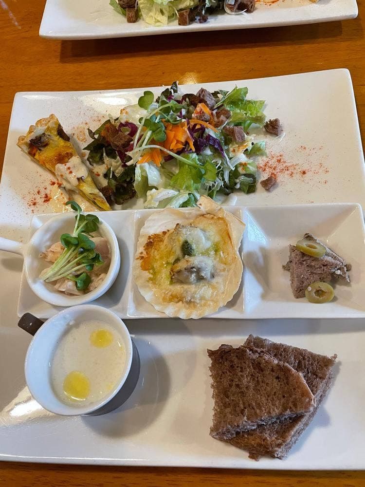 赤いトタン屋根の猫