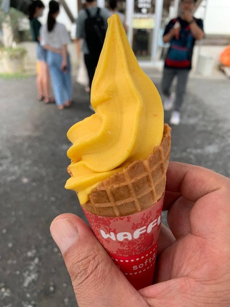 加藤牧場 バッフィ 日高本店