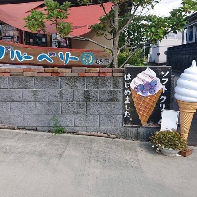 ブルーベリー園むら田 - サブ画像2