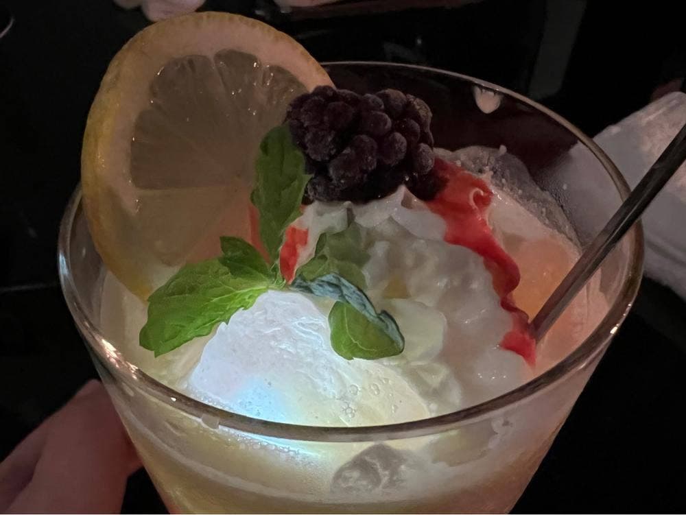 SUNTORY BAR STYLISH D