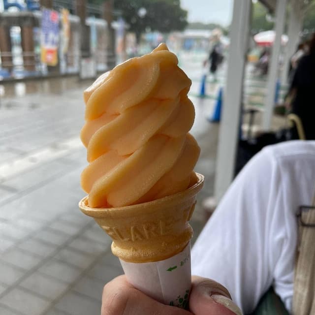 みはらし広場 国営ひたち海浜公園 - サブ画像2