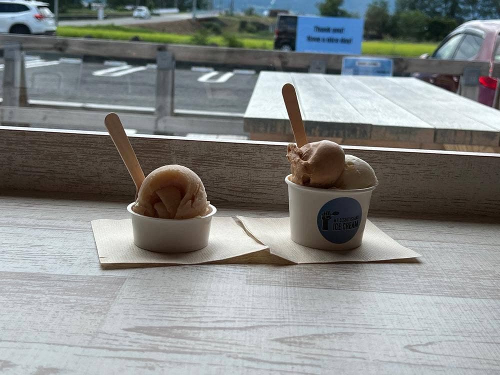 MT.DESERT ISLAND ICECREAM 安曇野店