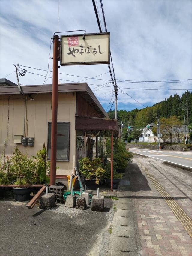 やまぼうし - サブ画像2