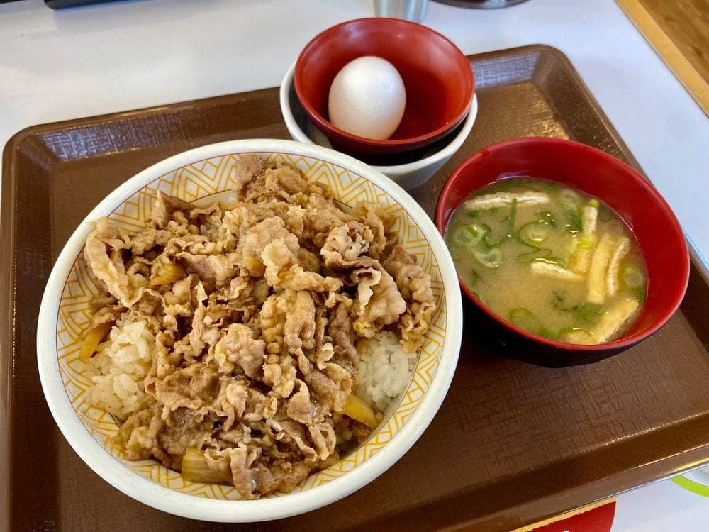 すき家 高崎棟高店