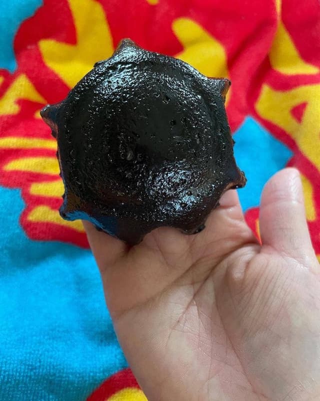 亀の子せんべい本舗大浪 萩荘本店 - サブ画像1