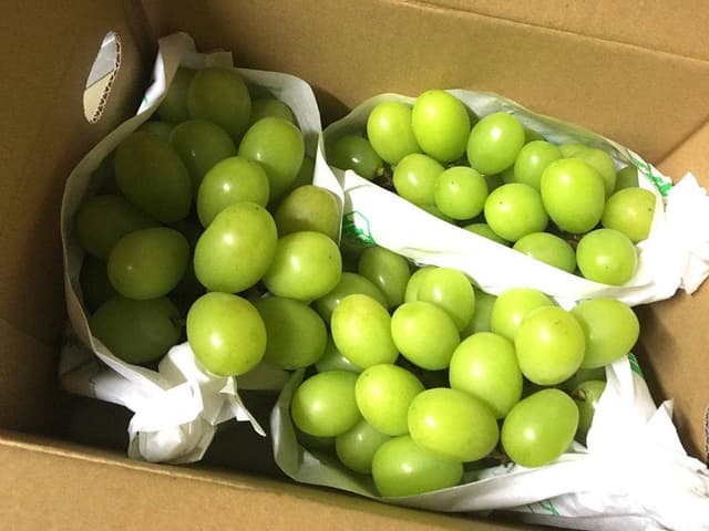 サカイダフルーツ - サブ画像2