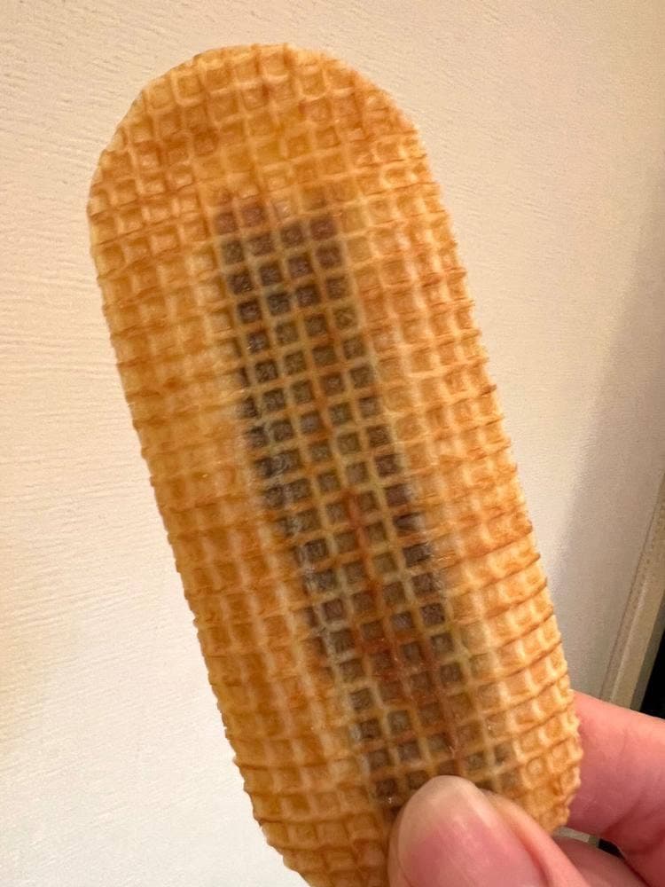 サマンサタバサ GOOD NEWS HOKKAIDO