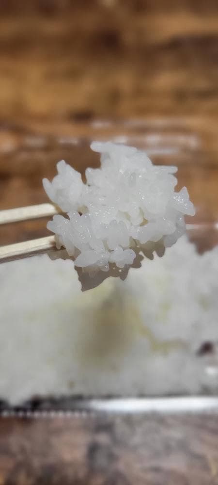 銀シャリ屋 ゲコ亭 - サブ画像2