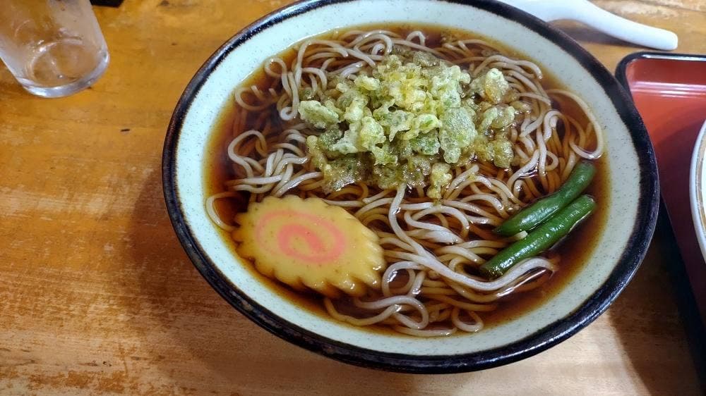 坪井更科