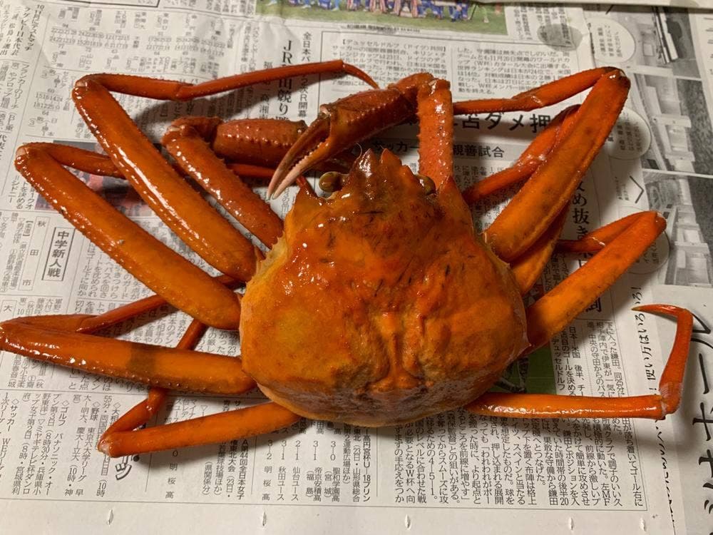 安田水産