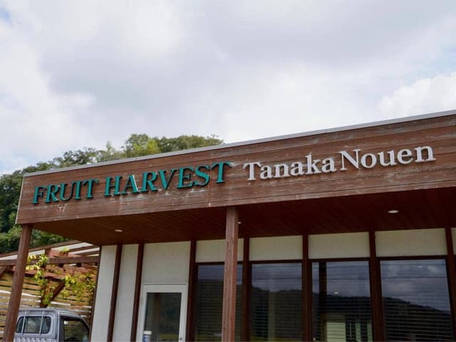 ブドウカフェ FRUIT HARVEST 田中農園 - サブ画像2