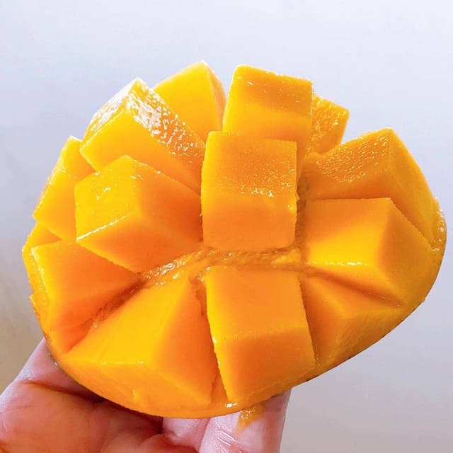 伊豆フルーツパーク - サブ画像3