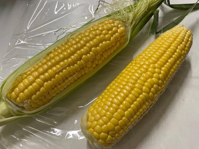 旅の駅河口湖 - サブ画像2