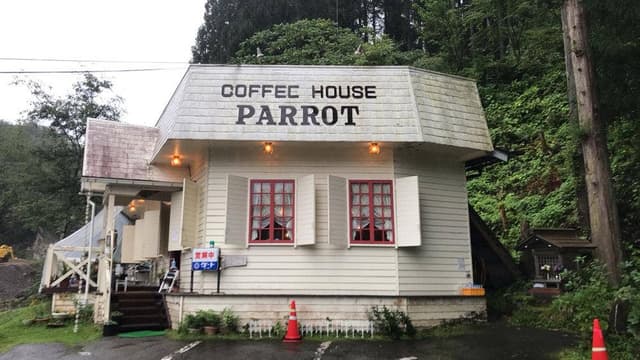 COFFEE HOUSE PARROT - サブ画像2