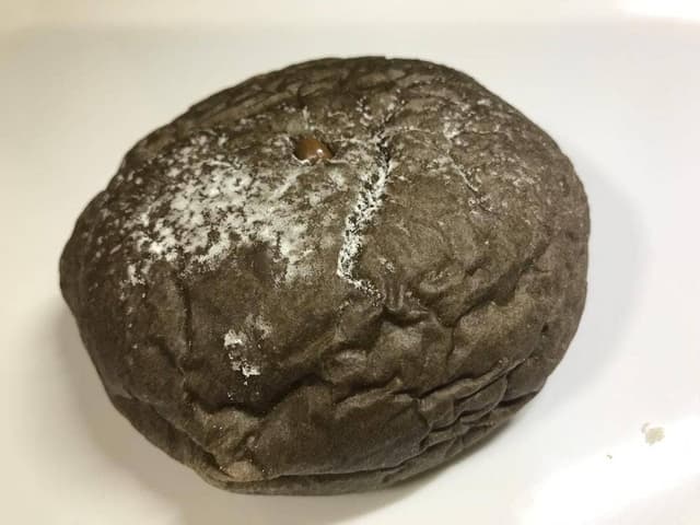 廣島咖喱麵麭研究所 - サブ画像3