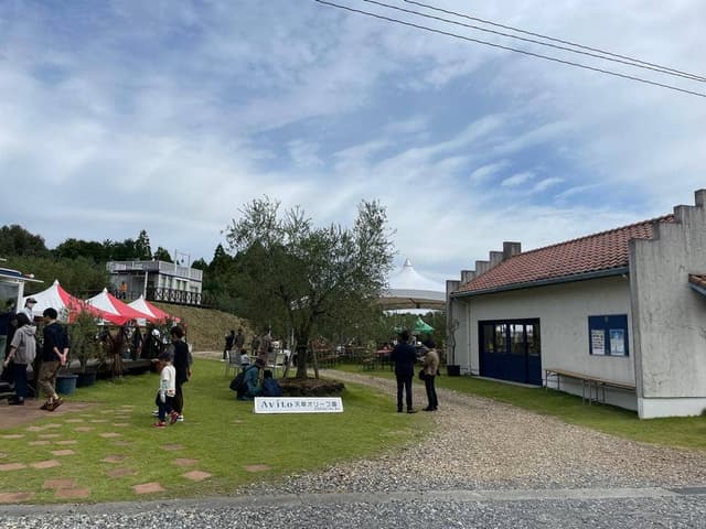 天草オリーブ園 AVILO - サブ画像1