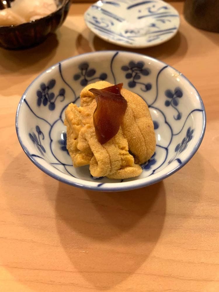 とも樹