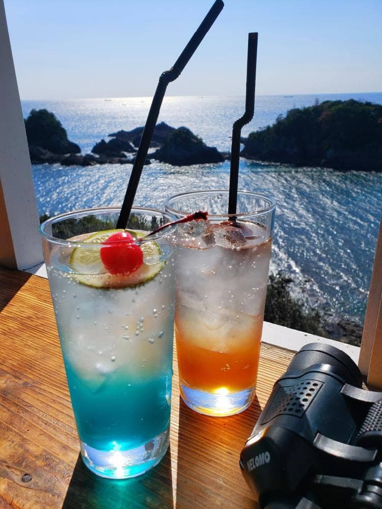 BUSH
