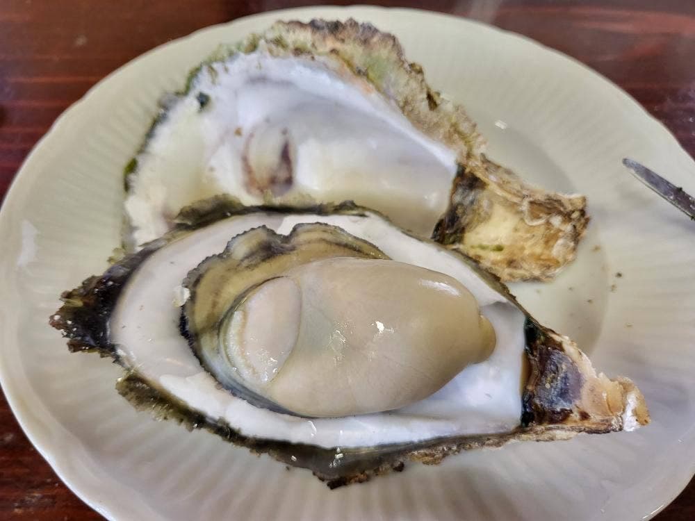 宮本水産