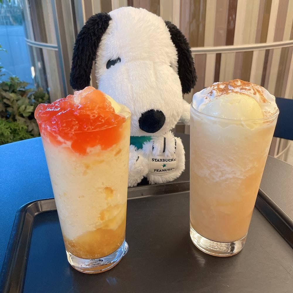 スターバックス コーヒー 六本木ヒルズ メトロハット ハリウッドプラザ店