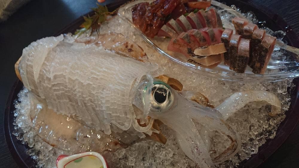 呼子朝市いか処 歳香亭