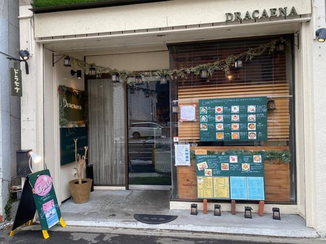 ドラセナ - サブ画像1