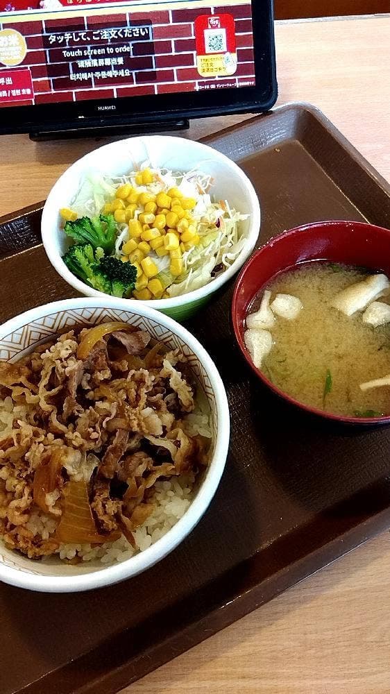 すき家 175号平野芝崎店
