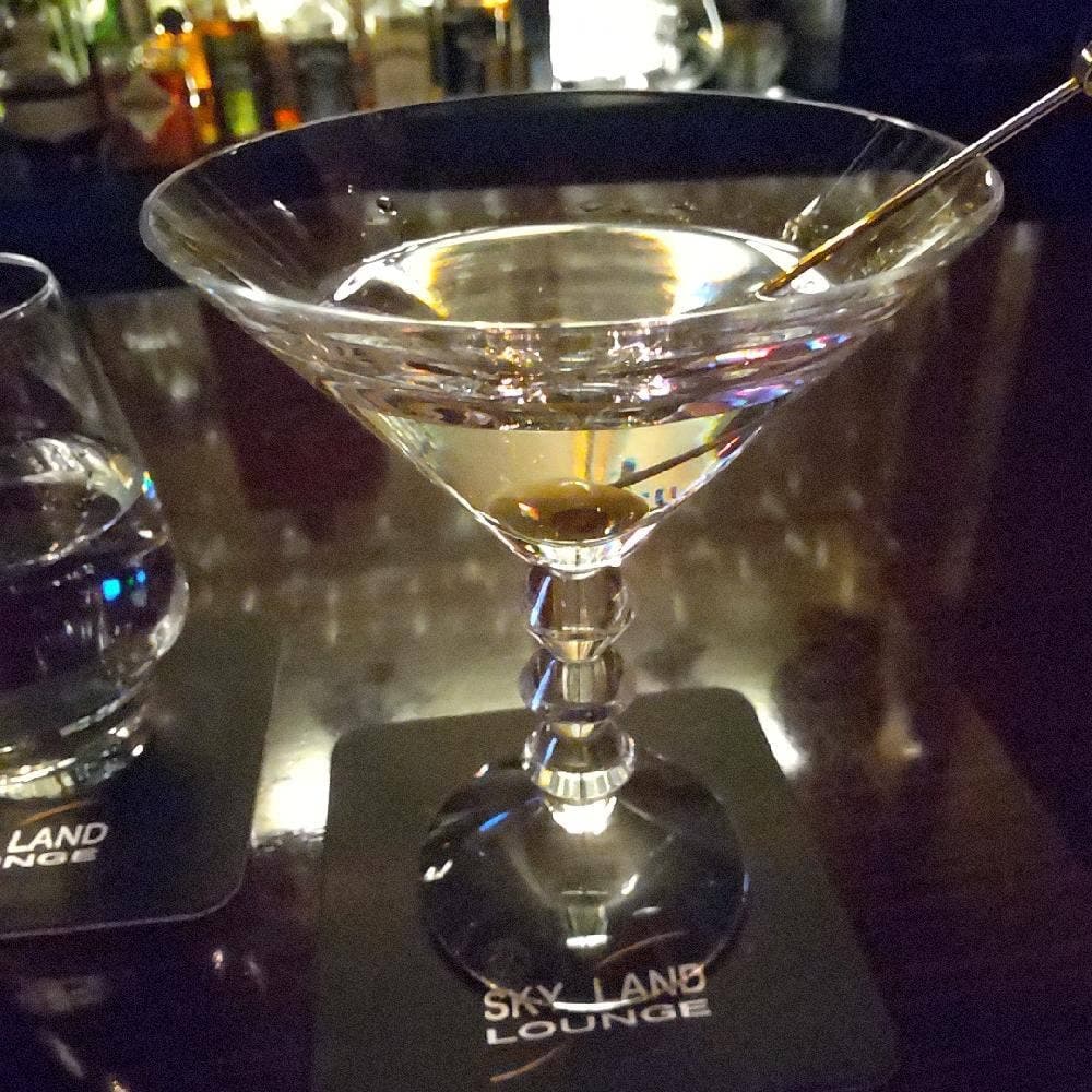 SKY LAND LOUNGE