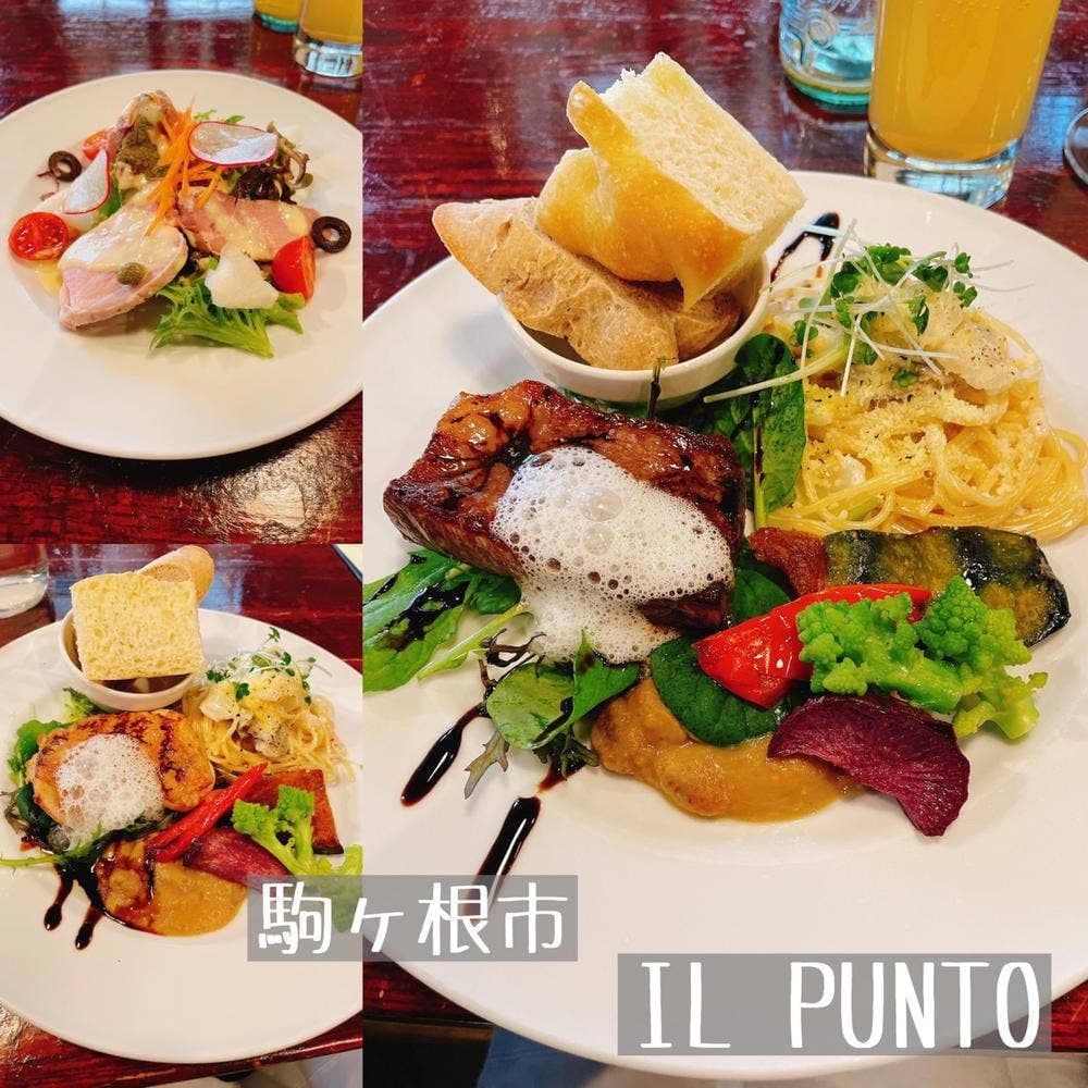 IL PUNTO del bosco