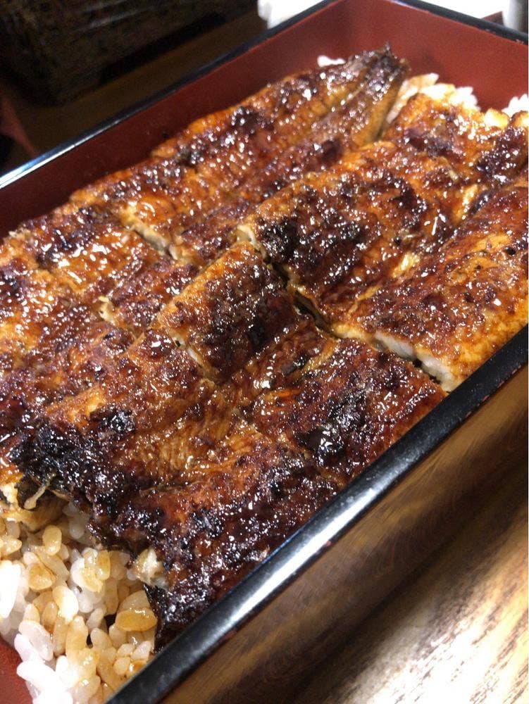 うなぎすっぽん團-DAN-