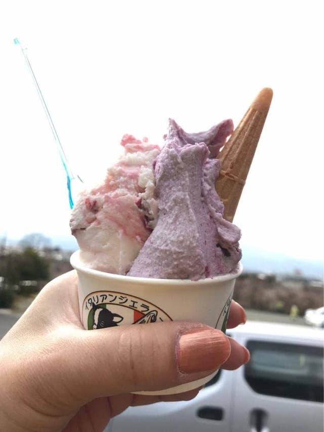 小田原牧場アイス工房 - サブ画像2