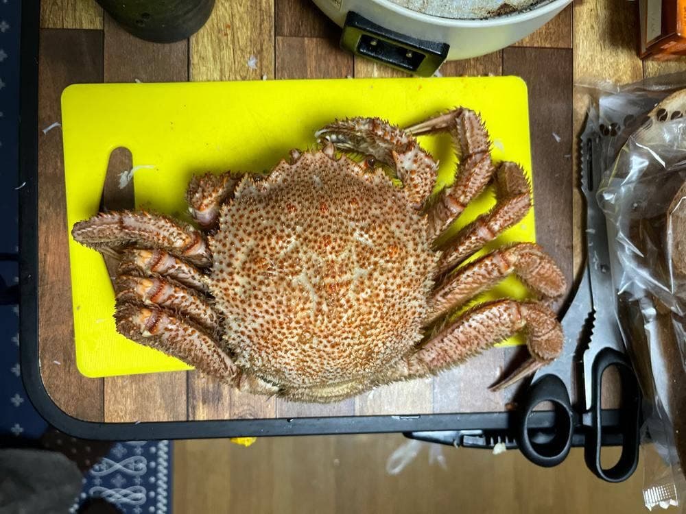 田島魚問屋