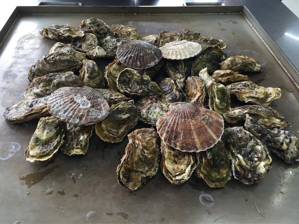 かき小屋 唐桑番屋