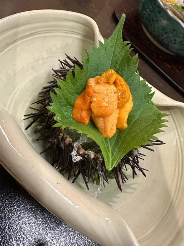 金澤湯涌温泉 百楽荘