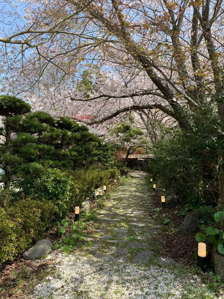 季心 川音