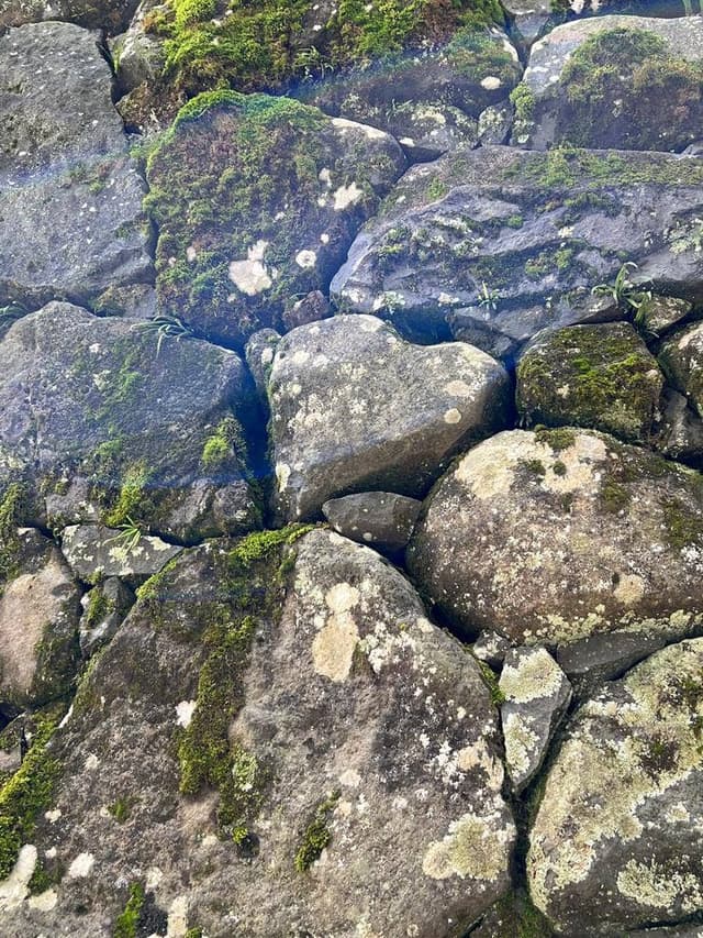 おみやげと和のスイーツ gra Herun - サブ画像2