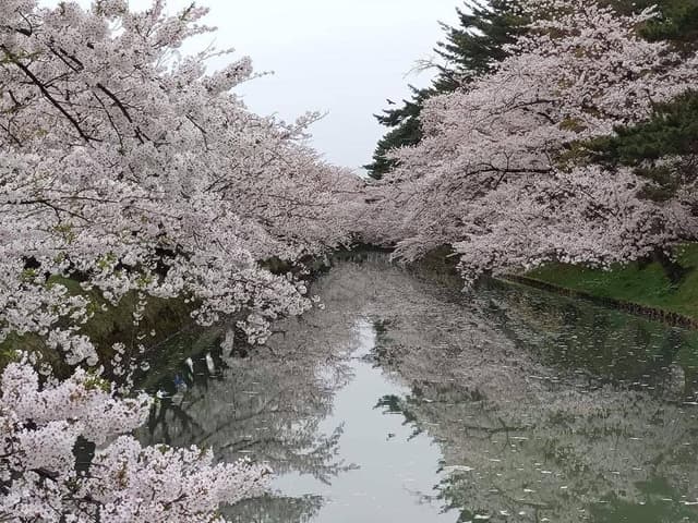 三忠 塩分町分店 - サブ画像2