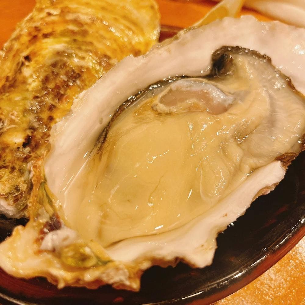 貝や しるひ