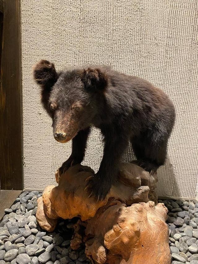 山の幸 うり坊屋 - サブ画像3